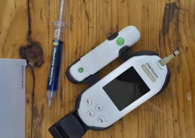 sallaumines, la cpts la gohelle mobilisée pour la prévention du diabète 5